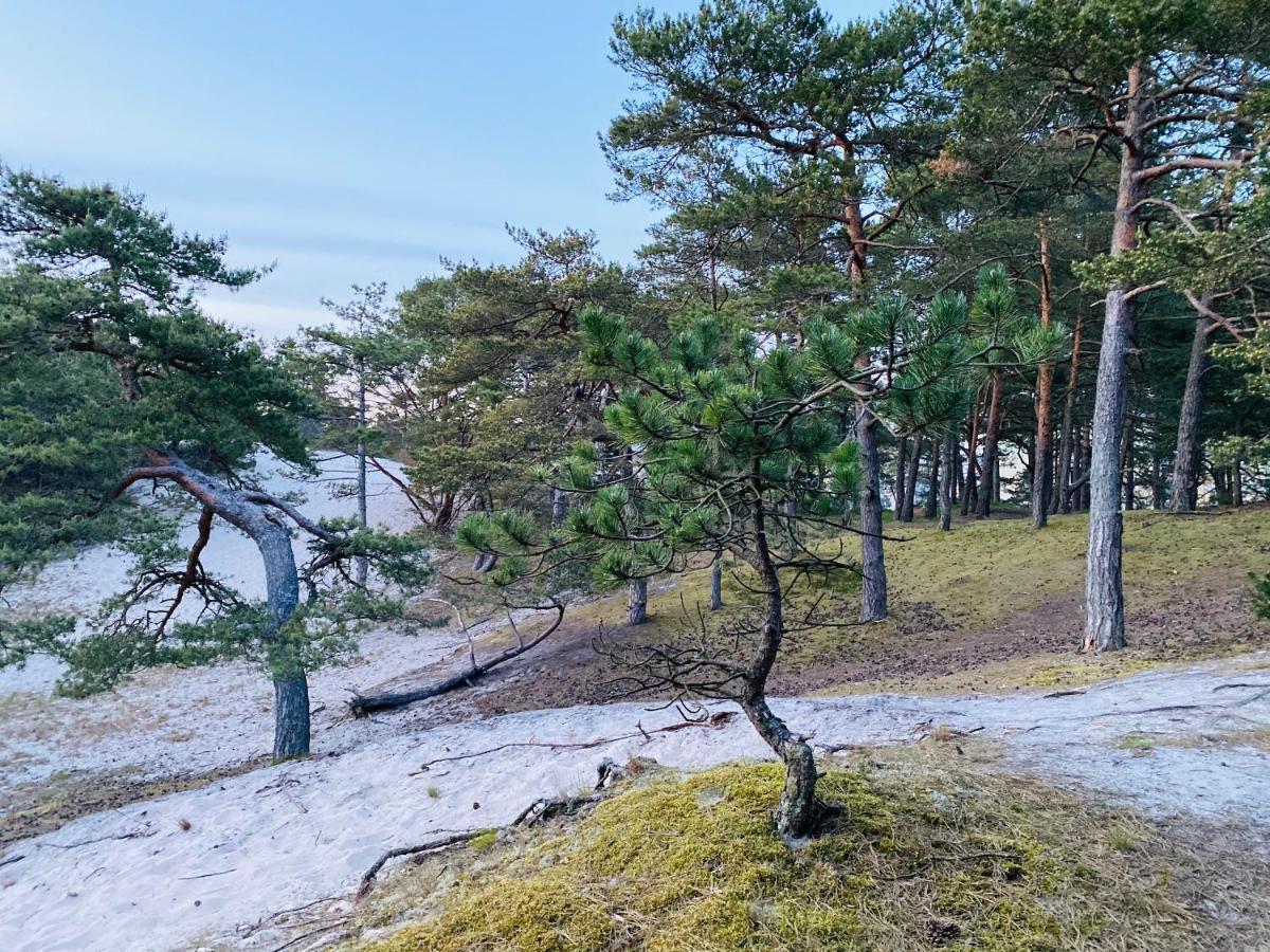 Siedlisko Wytowno Villa Ustka Eksteriør bilde